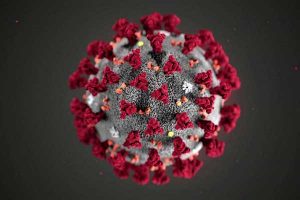 Coronavirus Molecule