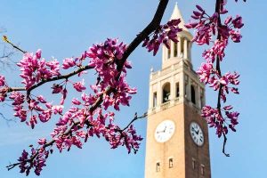 Bell Tower in spring